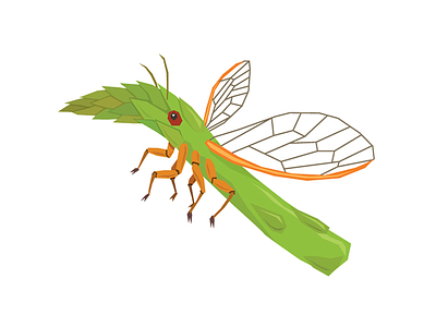 Asparagus Cicada art asparagus cicada colors design food graphic illustration illustrator insect taste vegetables