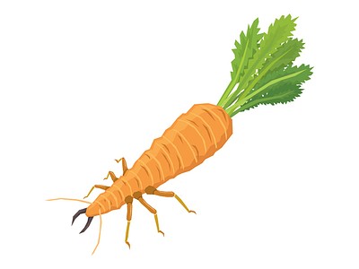 Carrot Termite art bug carrot design food graphic illustration insect taste termite vegetables water