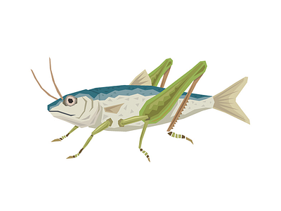 Sardine Grasshopper art bug design fish food graphic grass grasshopper illustration insect sardine taste