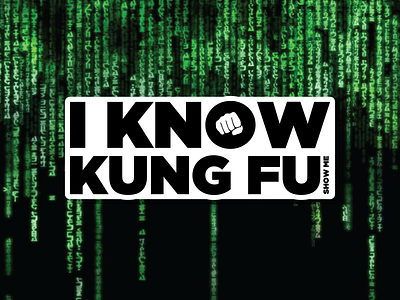 I Know Kung Fu