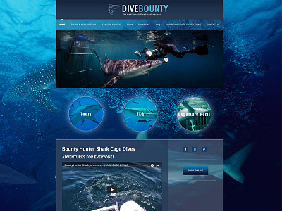 Shark tourist UI design htmlcss photoshop ui web