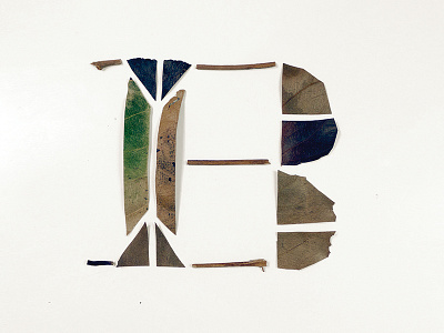 B, For Leaf b leaf letter type