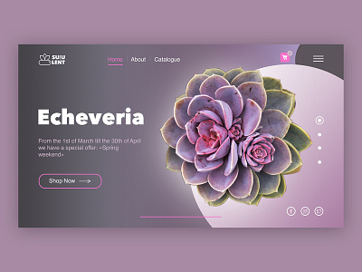 Internet-shop of succulents. concept design internet shop succulent uxui violet web design
