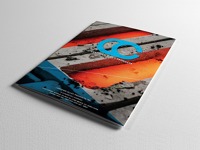 A rare print piece. branding brochure graphic design marketing photography print materials trifold