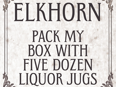 Introducing ELKHORN 12typefaces2017 font type type design typeface design typefaces typography