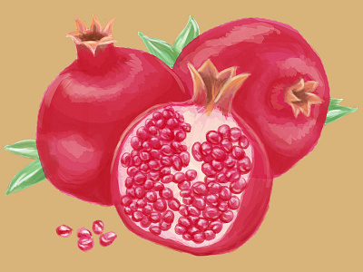 Pomegranate brush paint watercolor