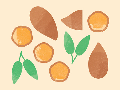 Sweet Potato & Sage Illustrations sage sweet potato texture