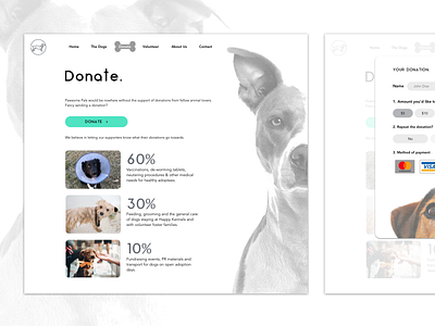 Part 1: Donation UI Concept for Animal Rescue & Adoption