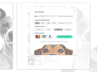 Part 2: Donation UI Concept for Animal Rescue & Adoption