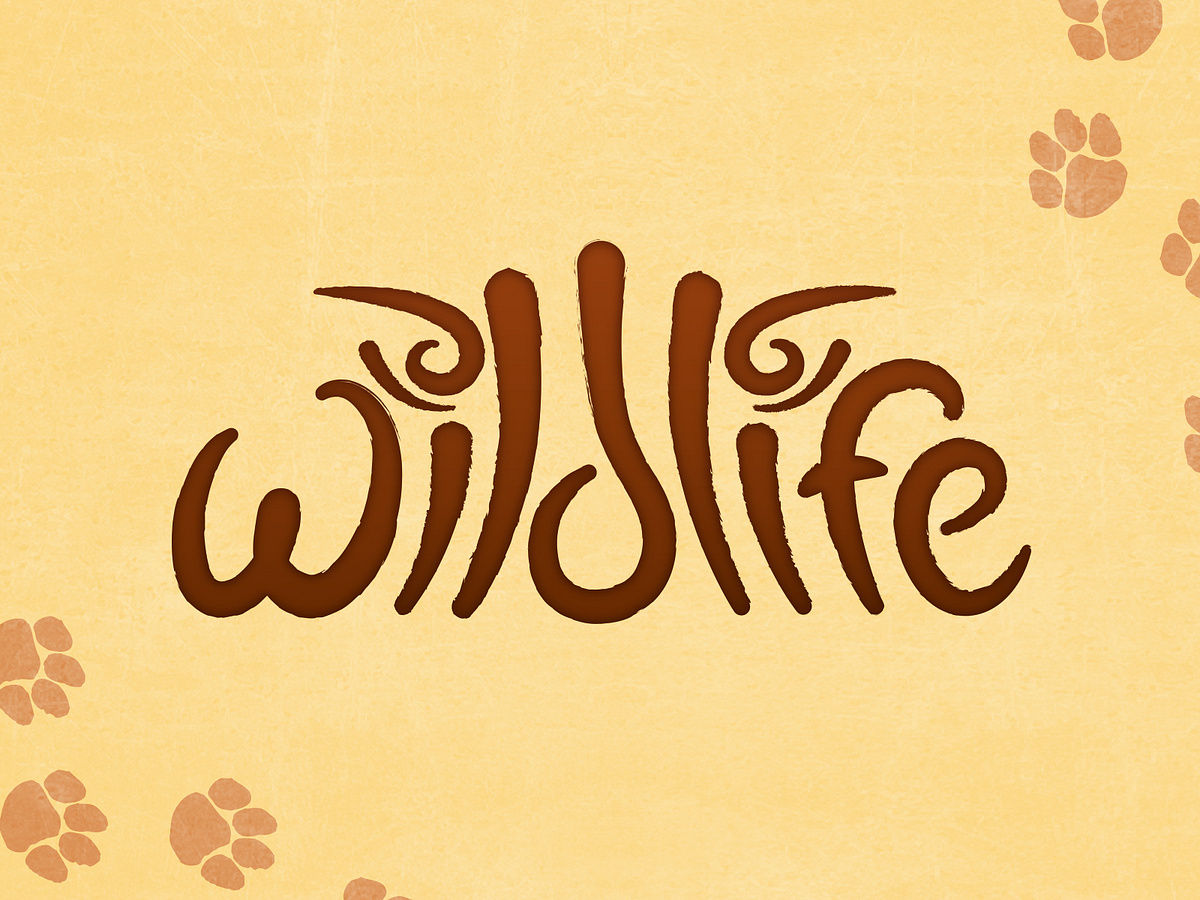 Yorkshire Wildlife Park Logo Concept by Erik Jensen on Dribbble