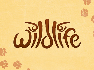 Yorkshire Wildlife Park Logo Concept animal animal logo branding design icon idea illustration illustrator logo logo design minimal photoshop tiger typography vector wildlife