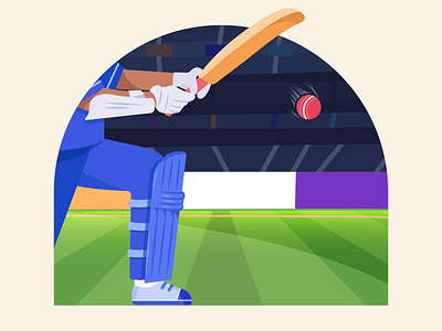 Cricket - Transaction Background