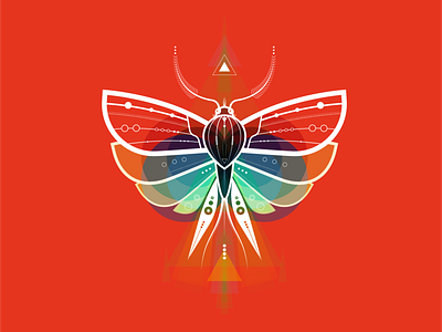 Red Light animal color cosmic geometry illustration insect lines moth red vector