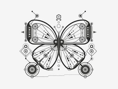 A Cosmic Butterfly animal cosmic geometry lines minimal monochrome vector