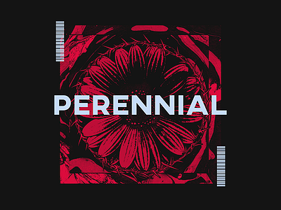 Perennial