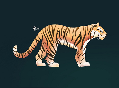 Tiger art cartoon design digital art digitalart drawing illustration illustrator procreate sketchbook tiger vector