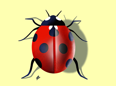 ladybug animation art cartoon digitalart draw drawing illustration illustrator ladybug ladybugs sketchbook vector