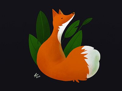 FOX animation art design digitalart draw drawing fox illustration ilustration procreate vector