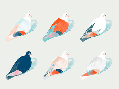 Pigeons bird colorful illustration pattern pigeon watercolor