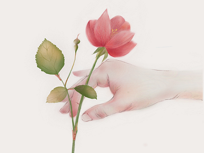 hand and flower