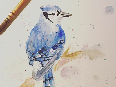 Bird watercolor