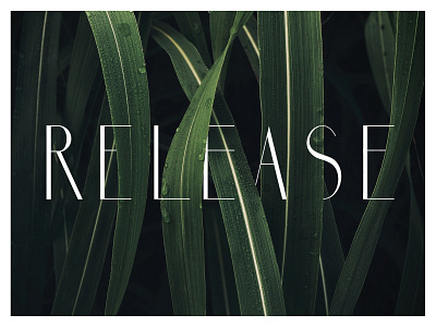 Release