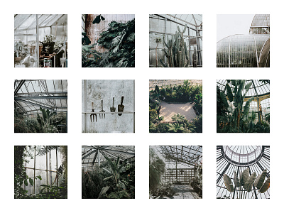 Greenhouse Mood Board green house greenhouse mood mood board mood board inspiration mood boards moodboard moodboards moods plant inspiration planter plants plantshop