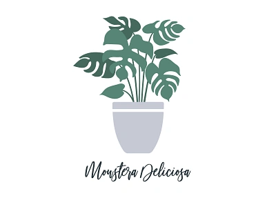 Monstera Deliciosa Illustration daily ui greenery greenhouse illustrated plant illustrated plants modern monstera monstera deliciosa monstera deliciosa illustration plant plant illustration planter planting plants plants app simple illustration