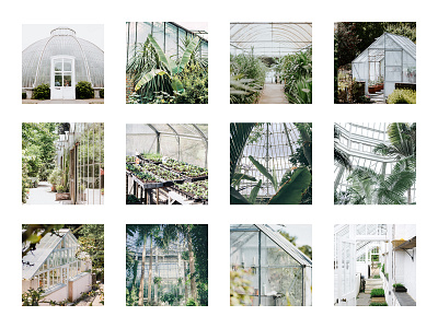 Greenhouse Mood Board – Light and Airy