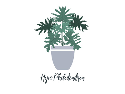 Hope Philodendron Plant Print Illustration