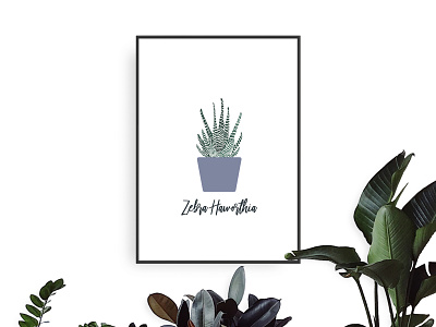Zebra Plant Illustration daily ui design house plant illustrated plant illustration interior design minimalistic modern plant plant illustration plant poster succulent ui user experience user interface