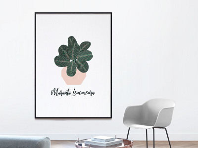 Prayer Plant Illustration Poster daily ui design house plant illustrated plant illustration indoor plant modern plant plant illustration plant poster user experience user interface