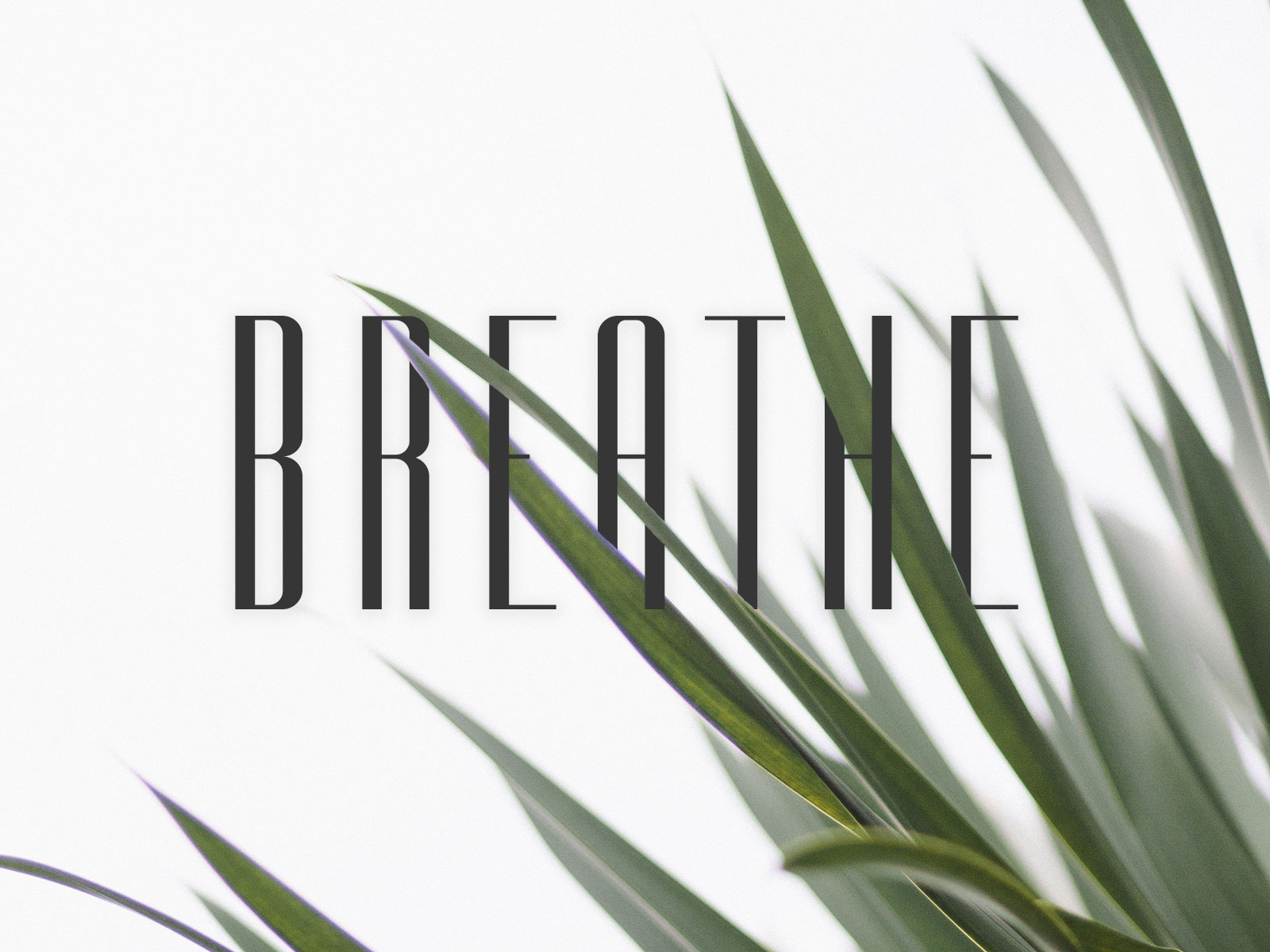 Breathe by Jocelyn Wright Powell on Dribbble