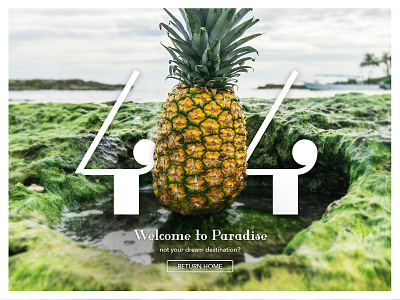Tropical 404 Page 404 404 error page 404 page daily ui daily ui 008 daily ui challenge dailyui dailyuichallenge error page interface modern pineapple ui uidesign uiux unsplash user experience web web design