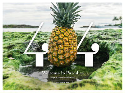 Tropical 404 Page