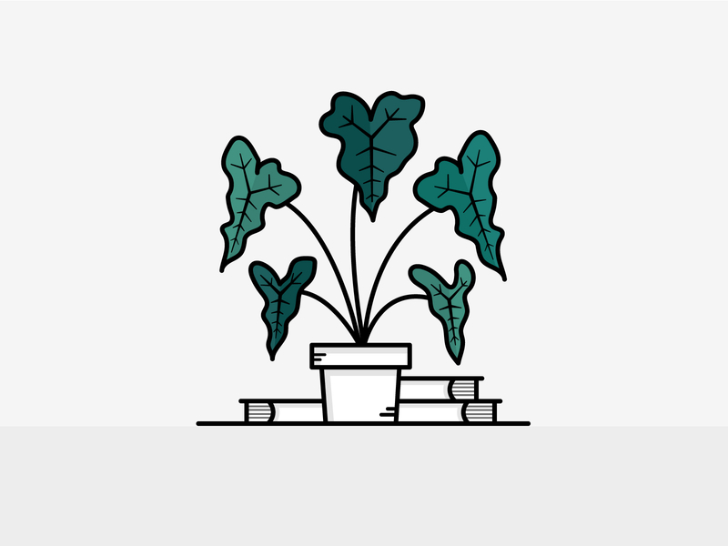 Dribble Weekly Warmup Illustrated Alocasia Amazonica Plant books design dribbble dribbbleweeklywarmup graphicdesign illustrated design illustrated plant illustration illustration art modern plant plant illustration planter plants simple illustration vector vector art vector plant warmup weeklywarmup