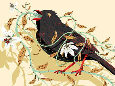 Lovebird bird flower illustration love print