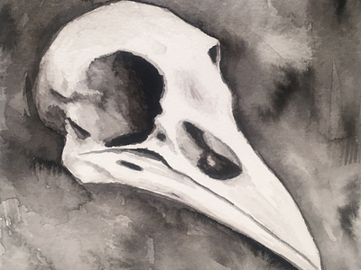 Raven Skull art creepy drawing fine art illustration ink painting sketch skull
