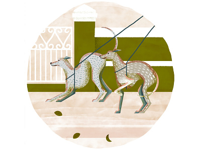 Italian Greyhounds dog dogs greyhound illustration illustration art italian greyhound texture textured whippet