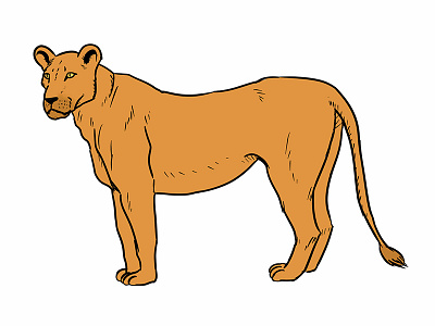 Lioness character design
