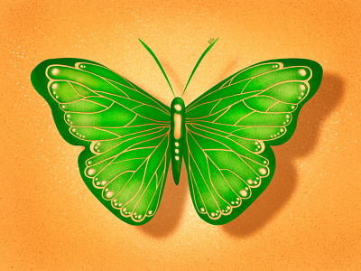 Spring Butterfly art artwork design dibbble digitalart dribbble graphic illustration illustration design vector графический дизайн