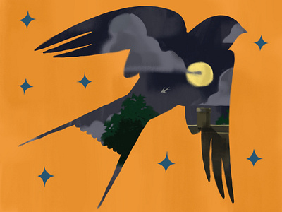 Fork-tailed swallow // Summer Night digital art digital painting illustration illustration art painting procreate