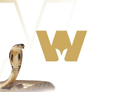 🐍👑 adobe illustrator brand branding fashion fashion brand illustrator logo logo concept logo design logo process logo snake luxury luxury brand luxury logo snake