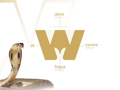 🐍👑 Logo Concept adobe illustrator brand branding crown crown logo gold gold logo grid illustrator logo logo concept logo construction logo design logo process luxury luxury brand snake snake logo