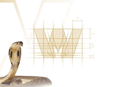 🐍👑Logo Process