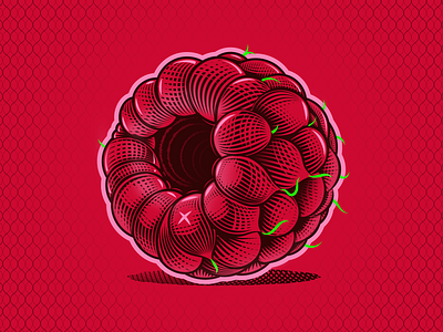 Raspberry Vector