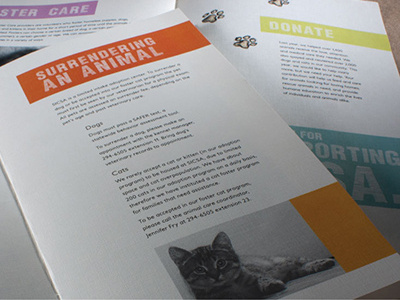 SICSA + Brochure animal brochure design shelter typography