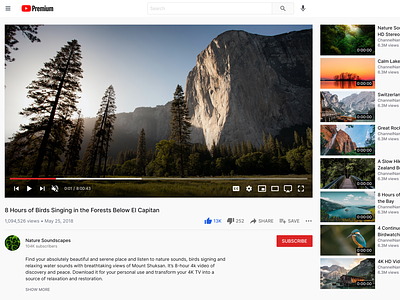 YouTube Video Page