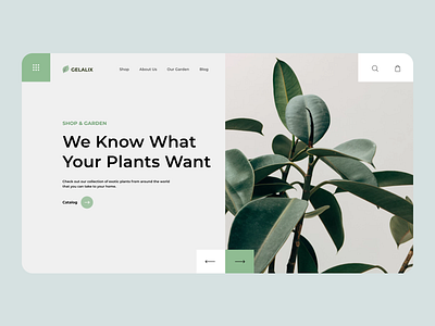 Landing page for a plant shop