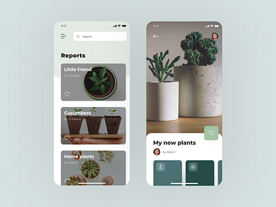 Приложение для ухода за растениями app concept concept art daily ui design minimal mobile mobile app ui ux